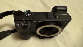 IMG_2102.jpeg