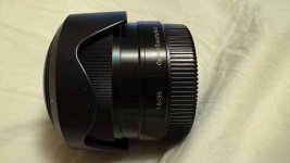 IMG_2098.jpeg