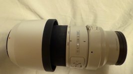 IMG_2091.jpeg