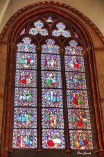 DSC00346 (1).jpg