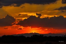 _DSC0699 (1).jpg _DSC0699 (1).jpg