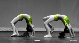 DSC01521 (1).jpg