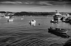 _DSF3770 ps03.jpg