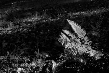 Reflejos 2__67A1468.jpg