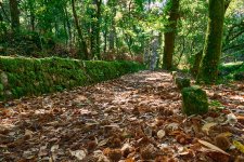 Camino73A03763 1.jpg