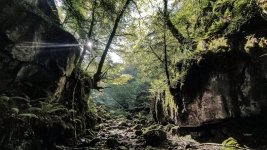 IMG_20251017_153539 ps02.jpg