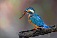 20250520-_MAC blauet 1250FF.jpg