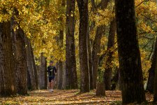 El cuidado propio.jpg