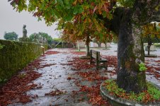 Iria banco_DSC03722.jpg Iria banco_DSC03722.jpg