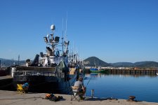 De pesca en el puerto (1).jpg