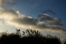 Sol y viento (1).jpg