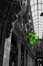 6f7705de-5d63-4a2f-8e28-f387f1deff6e (2).jpg