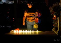 _DSC3533.JPG _DSC3533.JPG