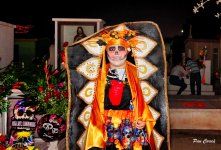 _DSC3485 (1).jpg _DSC3485 (1).jpg