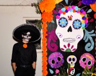 _DSC3486.JPG _DSC3486.JPG