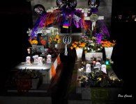 _DSC3496.JPG _DSC3496.JPG