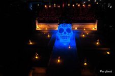 _DSC3499.JPG _DSC3499.JPG