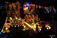 _DSC3514.JPG _DSC3514.JPG