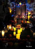 _DSC3516.JPG _DSC3516.JPG