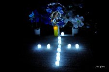 _DSC3521.JPG _DSC3521.JPG