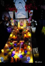 _DSC3529.JPG _DSC3529.JPG