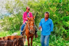 DSC00442 (1).jpg DSC00442 (1).jpg