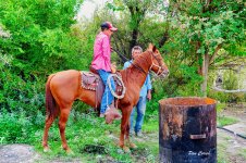 DSC00450 (1).jpg DSC00450 (1).jpg