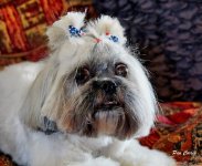 _DSC3756 (1).jpg _DSC3756 (1).jpg