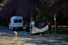 Limpieza matinal.jpg