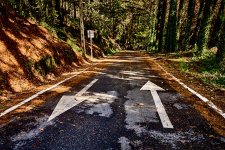 _67A1576.jpg _67A1576.jpg