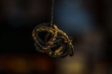 _JDP1100.jpg _JDP1100.jpg