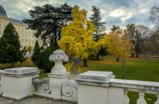 _DSF4729.jpg ps02.jpg