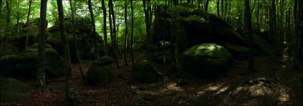 DSR07706 - DSR07712 copia.jpg