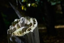 Microcivilización (1).jpg