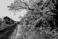 _DSF4790.jpg ps04.jpg