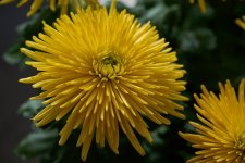 Z 2025 10 30 004 Fadura.jpg