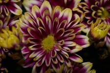 Z 2025 10 30 011 Fadura.jpg