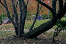 p 20251019 015 Bot Barakaldo 015.jpg