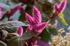 Z 2025 10 30 014 Fadura.jpg