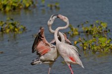 20250930-_MAC emporda 0139F.jpg