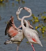 20250930-_MAC emporda 0139SFF.jpg