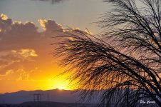 _DSC2646.jpg _DSC2646.jpg