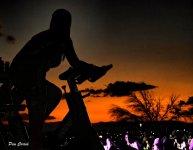 _DSC2772 (1).jpg _DSC2772 (1).jpg