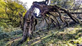 IMG_20251017_133331 ps03.jpg