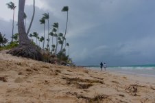 _DSC5869.jpg _DSC5869.jpg