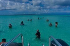 _DSC5880.jpg _DSC5880.jpg