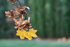 Antes de que apriete el invierno (1).jpg