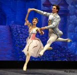 _DSC4447.JPG _DSC4447.JPG