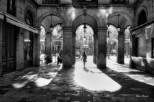 DSC00247 (1) (1).jpg