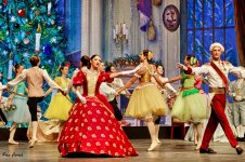 DSC02345 (1).jpg DSC02345 (1).jpg